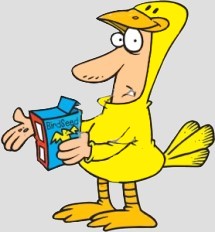 Indiana Website Designers, Hebron Website Designers